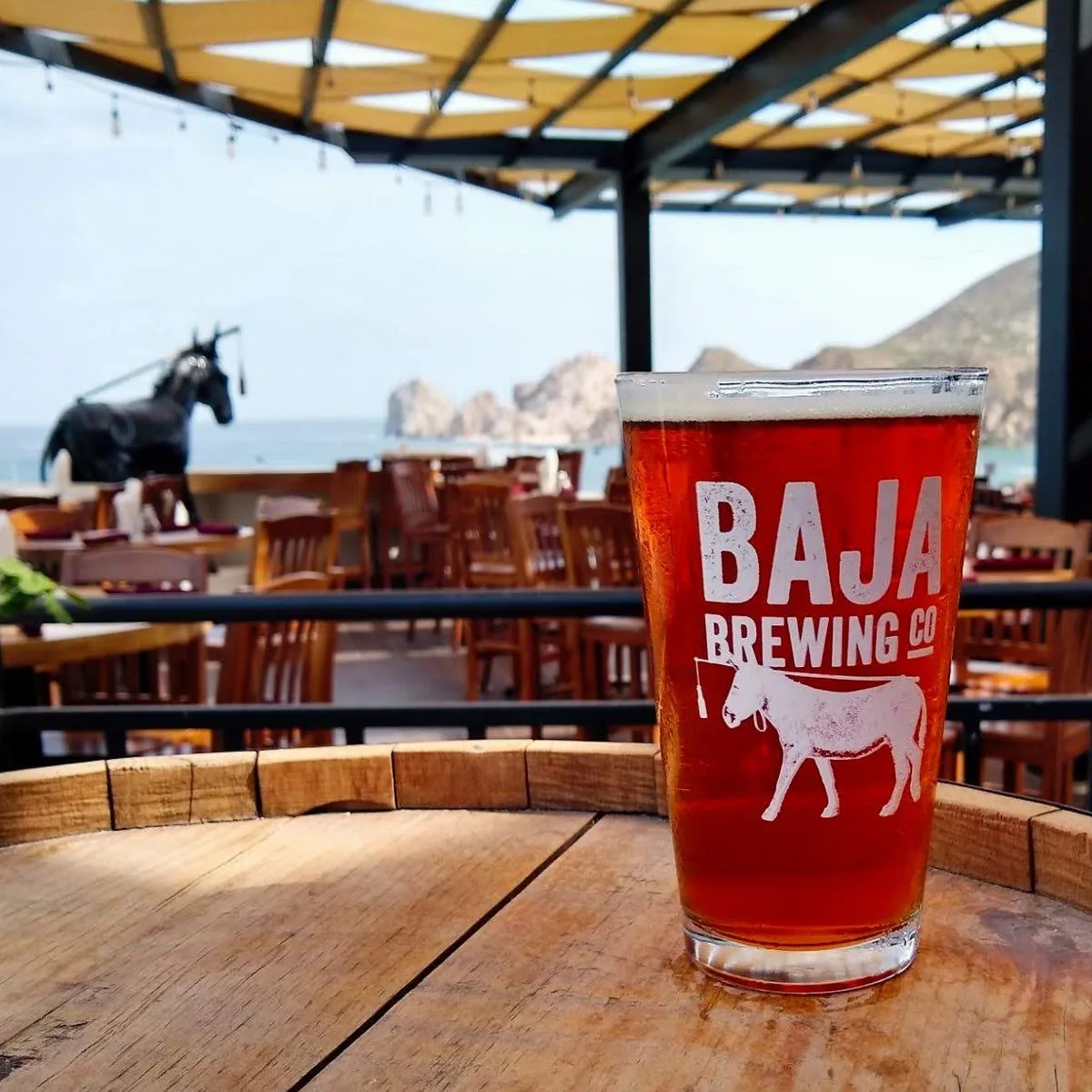 Baja Brewing — Cabo Villas Resort, Callejon del Pescador Calleju00f3n Pescadores S/N, El Medano Ejidal, 23450 Cabo San Lucas, B.C.S., Mexico