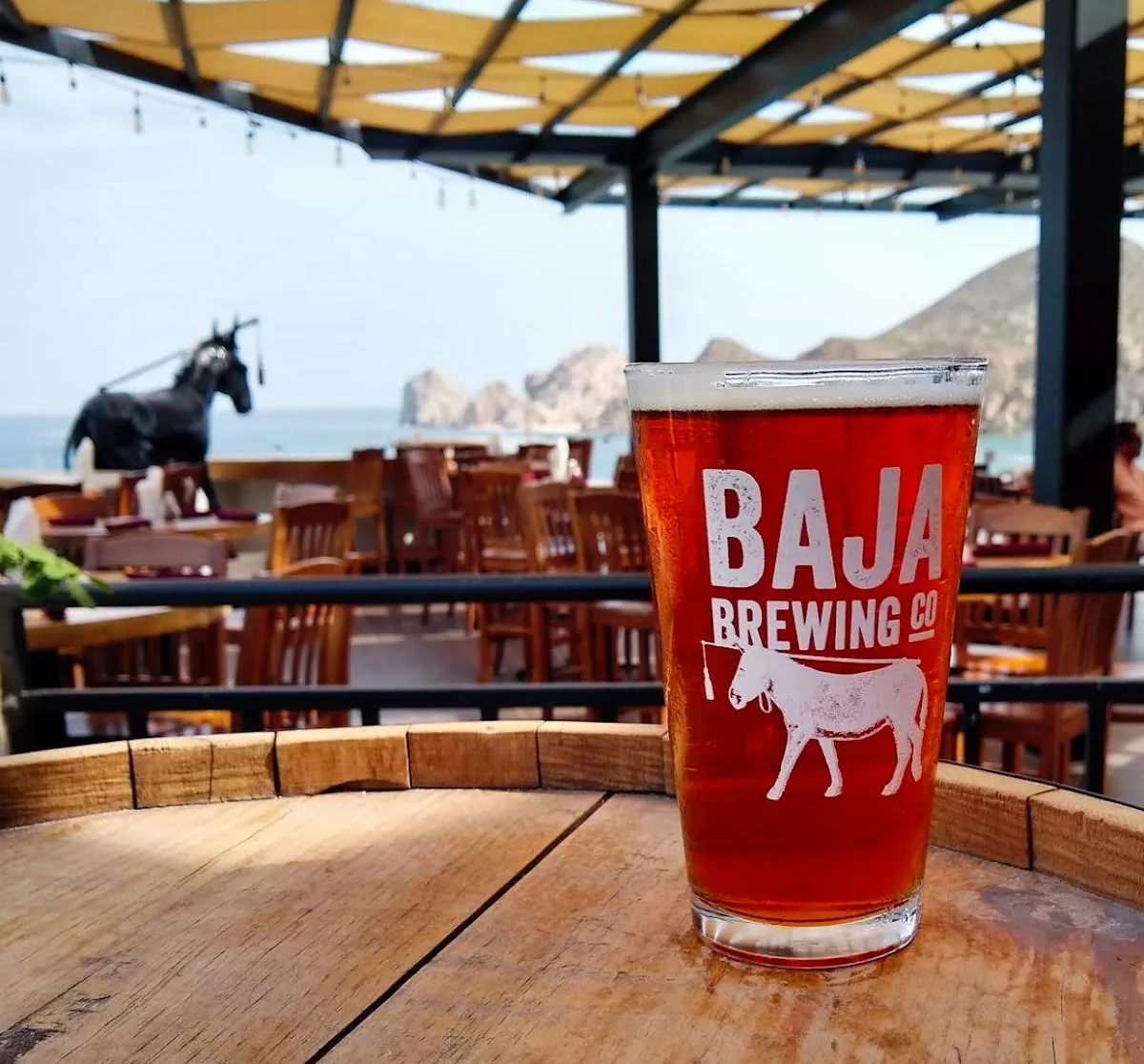 Baja Brewing Company gallery 2